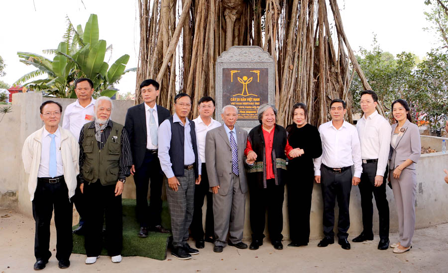 4[-]cây[-]Đa[-]tại[-]hầm[-]mộ[-]cổ[-]hơn[-]2.000[-]năm[-]ở[-]Hải[-]Phòng[-]được[-]công[-]nhận[-]là[-]Cây[-]Di[-]sản[-]Việt[-]Nam